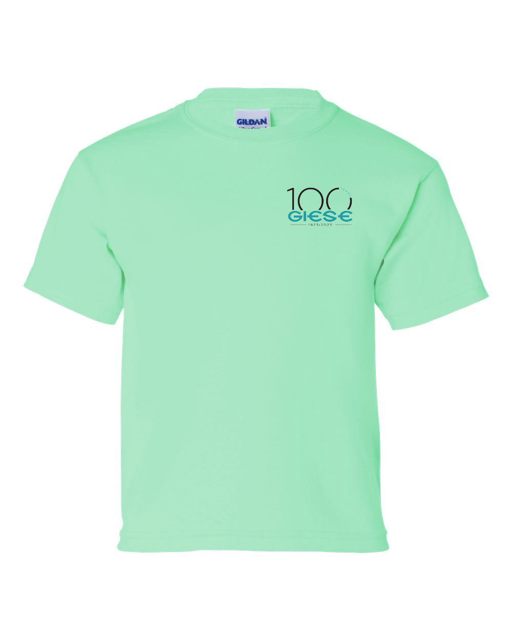 2000B- GIESE Ultra Cotton® Youth T-Shirt