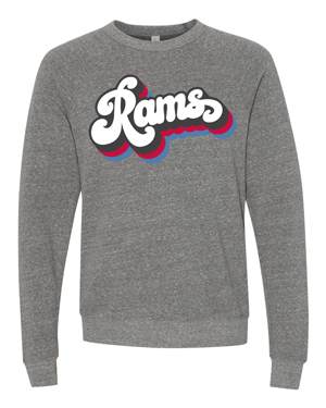 3901- DBQ SENIOR BOOSTER Unisex Sponge Fleece Raglan Sweatshirt