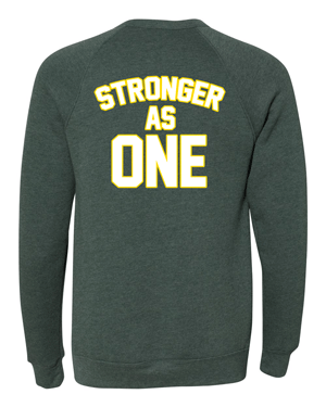 3901- HEMPSTEAD SWIMMING Unisex Sponge Fleece Raglan Crewneck Sweatshirt