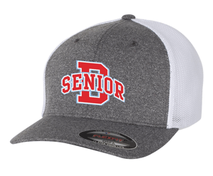 6311- DBQ SENIOR BOOSTER