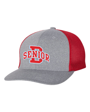 6311- DBQ SENIOR BOOSTER
