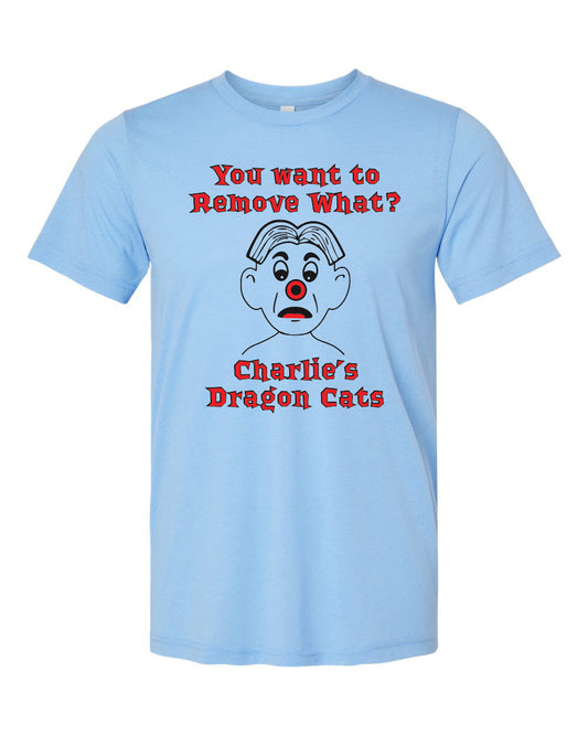 3413- CHARLIES DRAGONS Triblend Tee