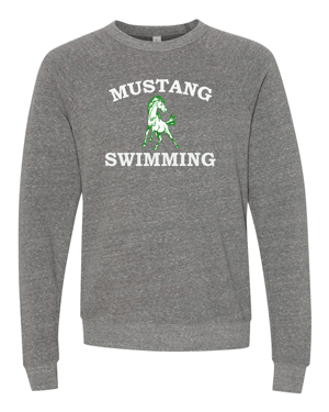 3901- HEMPSTEAD SWIMMING Unisex Sponge Fleece Raglan Crewneck Sweatshirt