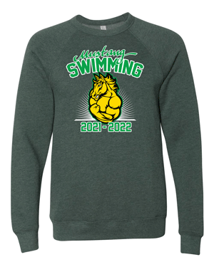 3901- HEMPSTEAD SWIMMING Unisex Sponge Fleece Raglan Crewneck Sweatshirt