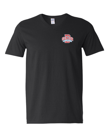 64V00- SENIOR CHEER Gildan - Softstyle® V-Neck T-Shirt